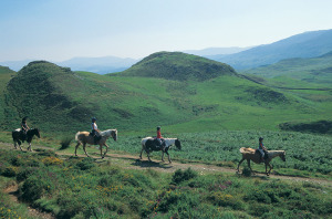 Abergwynant Farm Pony Trekkiing above Dolgellau Activities & Sports
